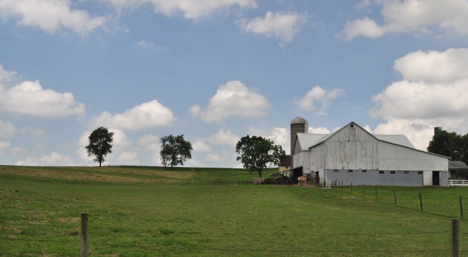 Ohio Amish farmland